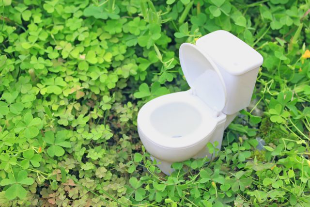 トイレをおしゃれにしたい 壁紙の選び方 東広島の新築 不動産なら